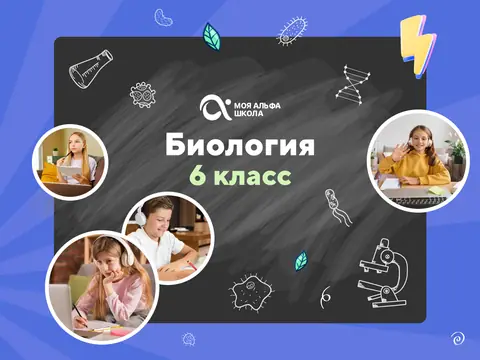Онлайн-занятия с репетитором по биологии. 6 класс — myalfaschool.ru